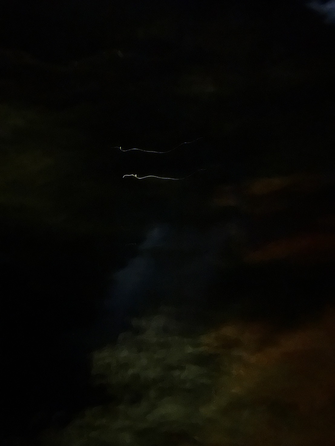 S__76038153_0